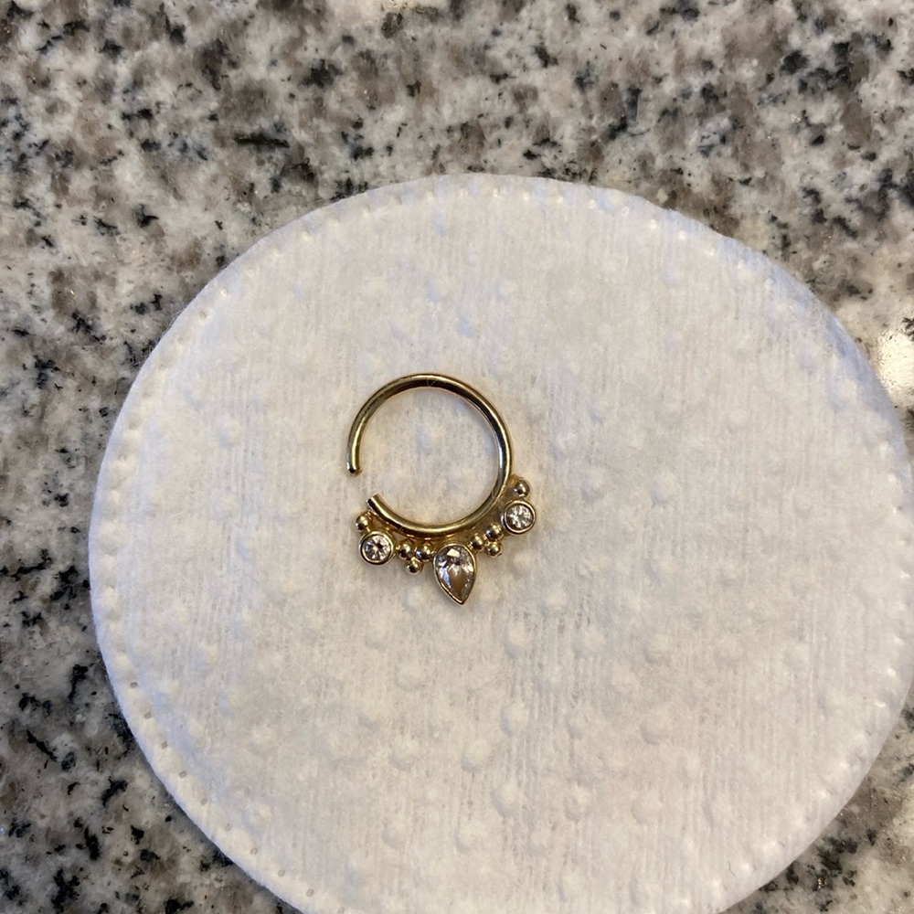 BVLA beautiful seamless septum/daith ring